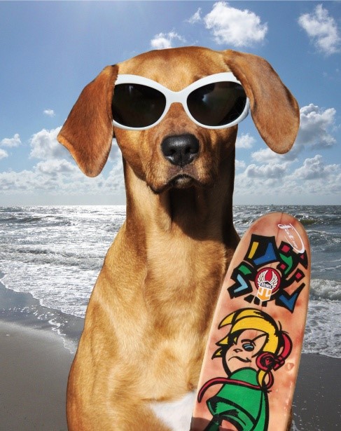 Strand vakantie Italie Italian Residence. Italiaanse kust hond