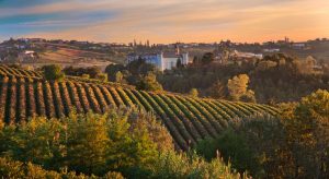 Heuvels piemonte italie