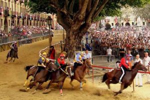 Paarden in Asti Piemonte