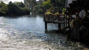 WatermolenC01-Parco-del-Fiume-Sile