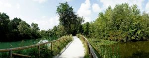 P12-Pista-Ciclabile-Alzaie-del-Sile