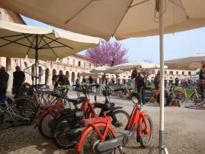 Fietsen in de veneto