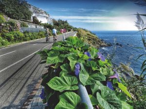 Fietsen Liguria