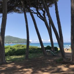 Wie is de Mol – Toscane week 5 Wie is de mol Toscane Italian Residence