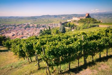 italie, veneto, wijngaarden